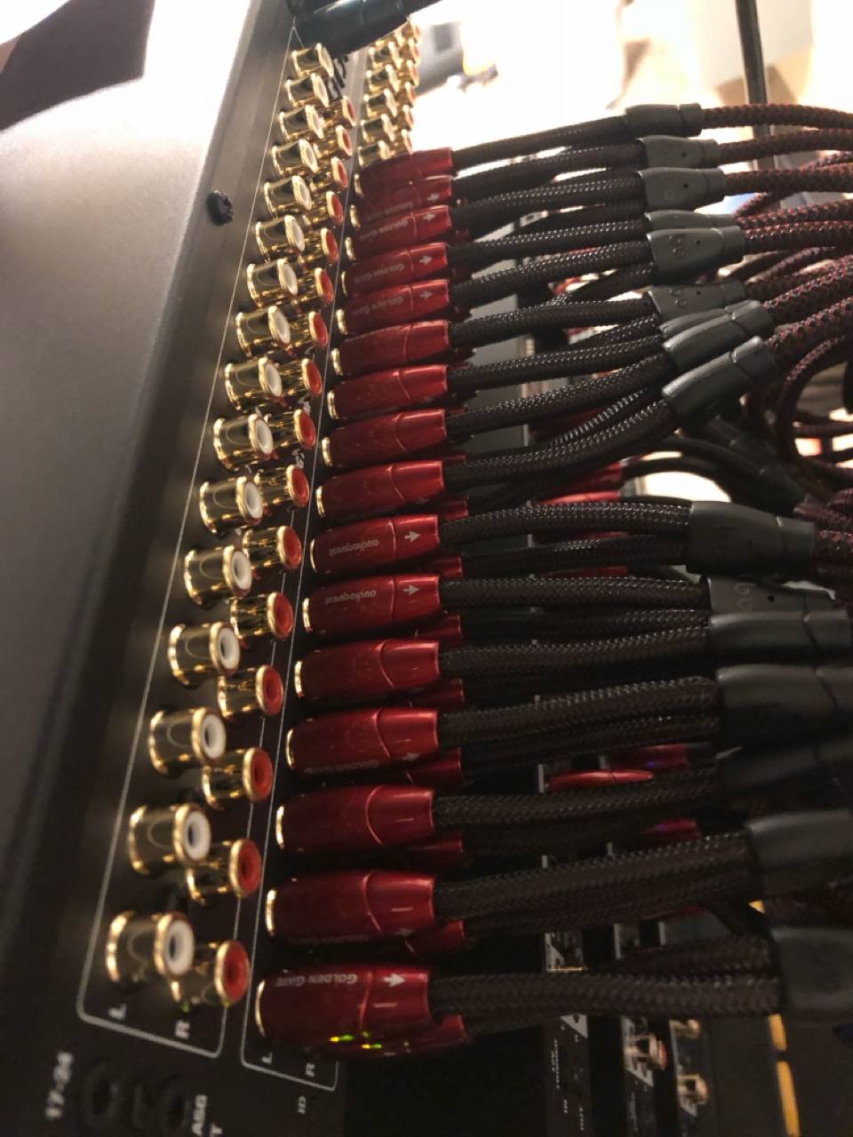 AudioQuest Golden Gate RCA cables into Triad amp — gold-plated, multi-channel, braided