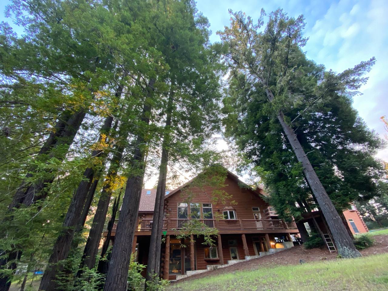Fort Bragg CA — A-frame cabin among redwoods, wraparound deck, Mendocino Coast