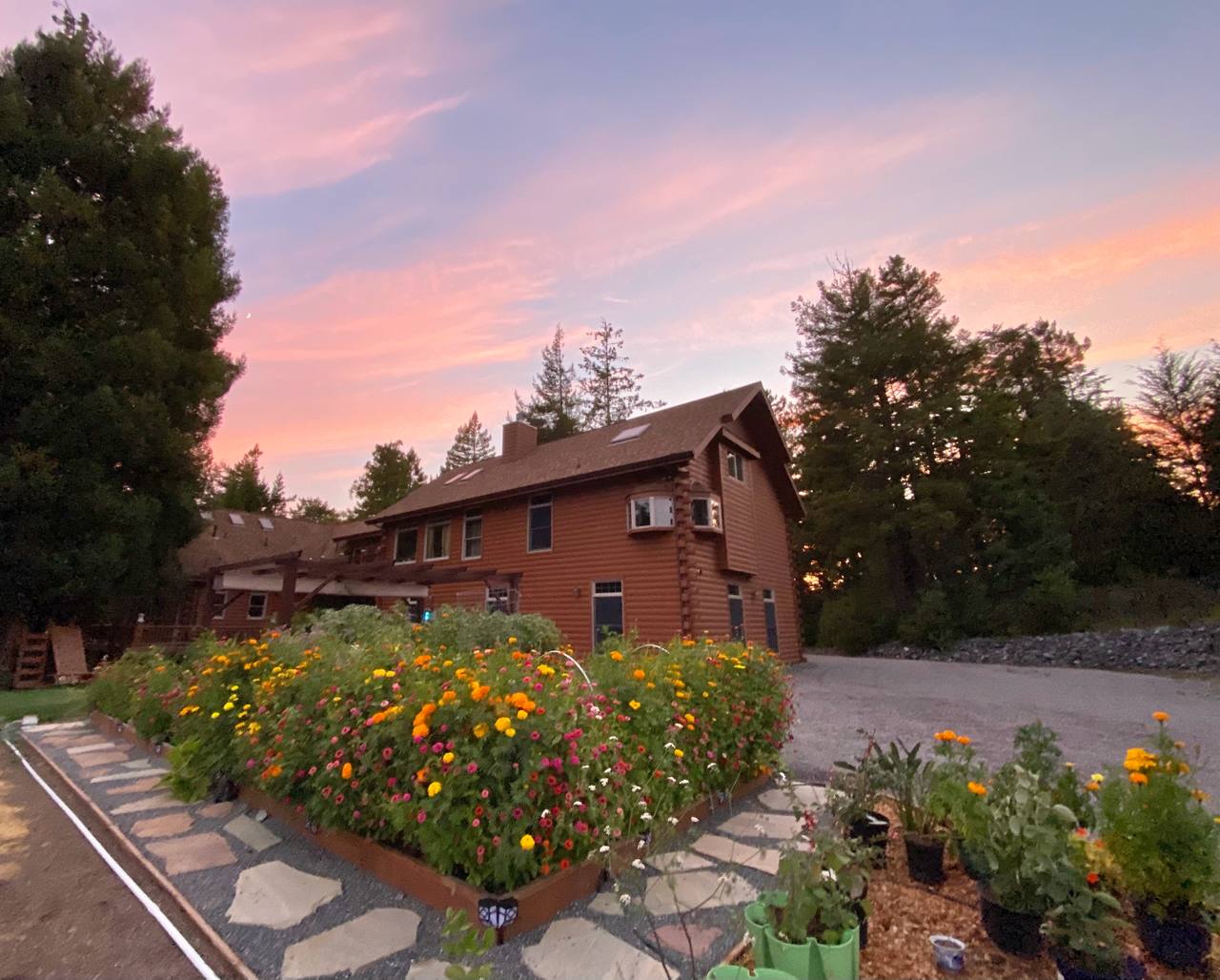 Fort Bragg CA — log house at sunset, flower garden, flagstone paths, pink and purple sky