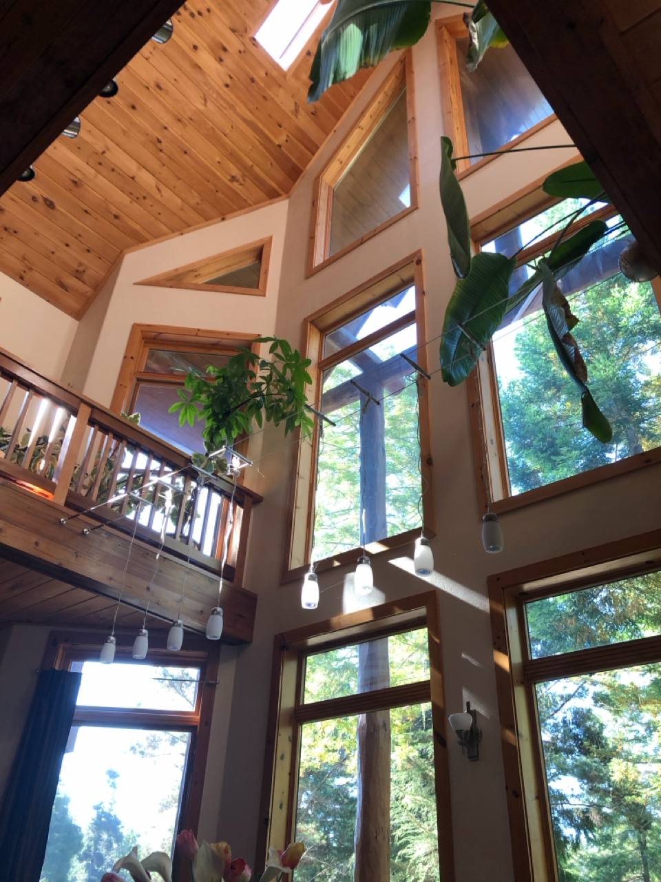 Double-height atrium, pine cathedral ceiling, forest windows, Edison pendants, loft balcony